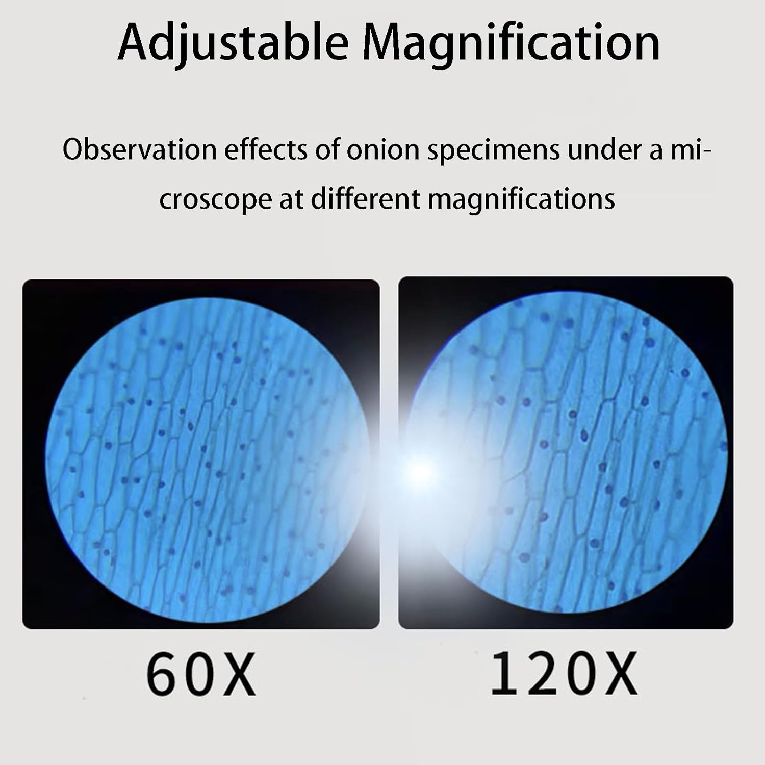 652af02626e9ef13f37853c712f21b85 652af02626e9ef13f37853c712f21b85